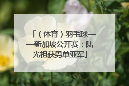 （体育）羽毛球——新加坡公开赛：陆光祖获男单亚军