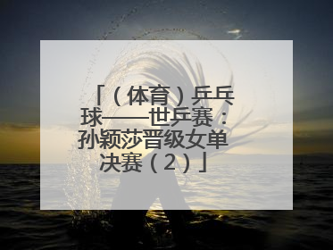 （体育）乒乓球——世乒赛：孙颖莎晋级女单决赛（2）