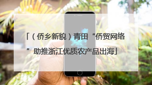 （侨乡新貌）青田“侨贸网络”助推浙江优质农产品出海