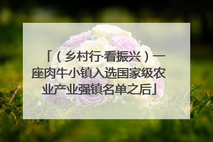 （乡村行·看振兴）一座肉牛小镇入选国家级农业产业强镇名单之后