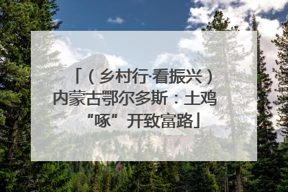 （乡村行·看振兴）内蒙古鄂尔多斯：土鸡“啄”开致富路
