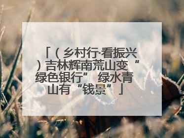 （乡村行·看振兴）吉林辉南荒山变“绿色银行” 绿水青山有“钱景”