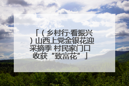 （乡村行·看振兴）山西上党金银花迎采摘季 村民家门口收获“致富花”