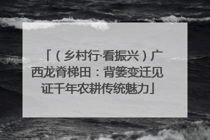 （乡村行·看振兴）广西龙脊梯田：背篓变迁见证千年农耕传统魅力
