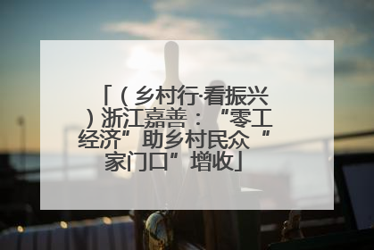 （乡村行·看振兴）浙江嘉善：“零工经济”助乡村民众“家门口”增收
