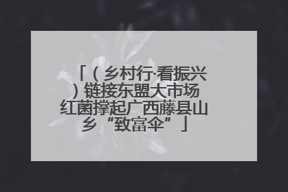 （乡村行·看振兴）链接东盟大市场 红菌撑起广西藤县山乡“致富伞”