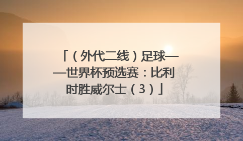 （外代二线）足球——世界杯预选赛：比利时胜威尔士（3）