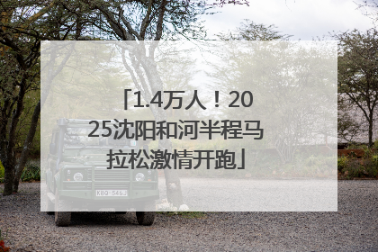 1.4万人！2025沈阳和河半程马拉松激情开跑