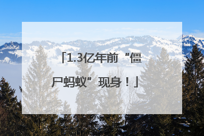 1.3亿年前“僵尸蚂蚁”现身！