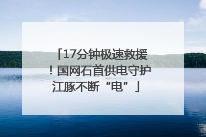 17分钟极速救援！国网石首供电守护江豚不断“电”