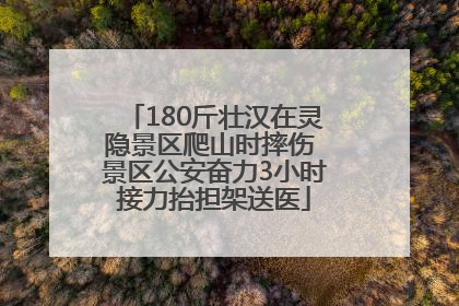180斤壮汉在灵隐景区爬山时摔伤 景区公安奋力3小时接力抬担架送医