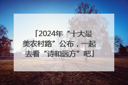 2024年“十大最美农村路”公布，一起去看“诗和远方”吧