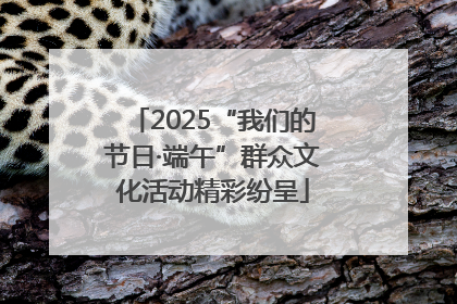 2025“我们的节日·端午”群众文化活动精彩纷呈