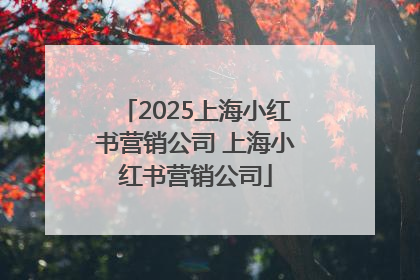 2025上海小红书营销公司 上海小红书营销公司