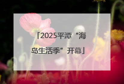 2025平潭“海岛生活季”开幕