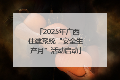 2025年广西住建系统“安全生产月”活动启动