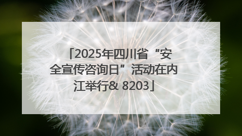 2025年四川省“安全宣传咨询日”活动在内江举行& 8203