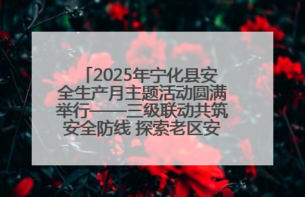 2025年宁化县安全生产月主题活动圆满举行——三级联动共筑安全防线 探索老区安全发展新路径