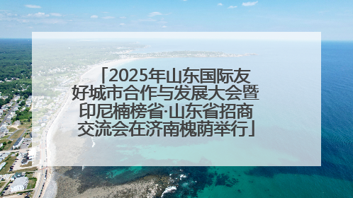 2025年山东国际友好城市合作与发展大会暨印尼楠榜省·山东省招商交流会在济南槐荫举行