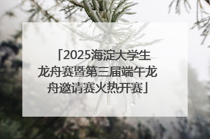 2025海淀大学生龙舟赛暨第三届端午龙舟邀请赛火热开赛