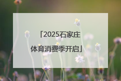 2025石家庄体育消费季开启