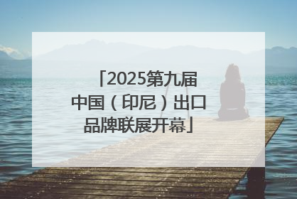 2025第九届中国（印尼）出口品牌联展开幕