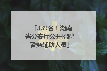 339名！湖南省公安厅公开招聘警务辅助人员