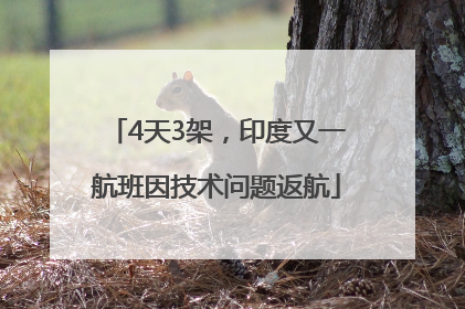 4天3架，印度又一航班因技术问题返航