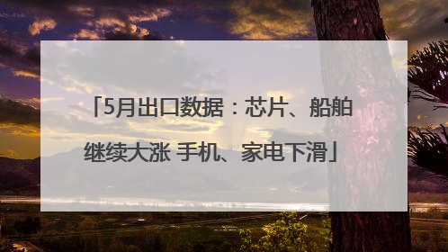 5月出口数据：芯片、船舶继续大涨 手机、家电下滑