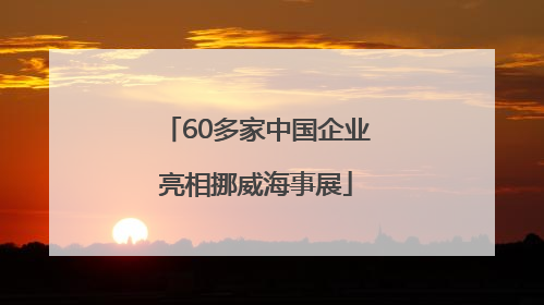 60多家中国企业亮相挪威海事展