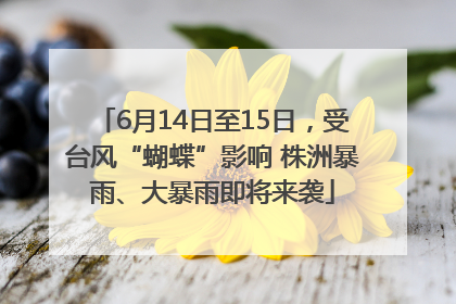 6月14日至15日，受台风“蝴蝶”影响 株洲暴雨、大暴雨即将来袭