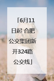 6月11日起 合肥公交集团新开324路公交线