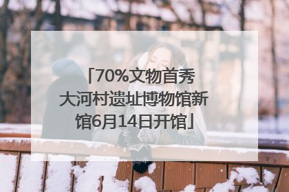 70%文物首秀 大河村遗址博物馆新馆6月14日开馆