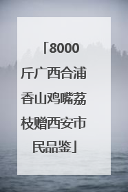 8000斤广西合浦香山鸡嘴荔枝赠西安市民品鉴