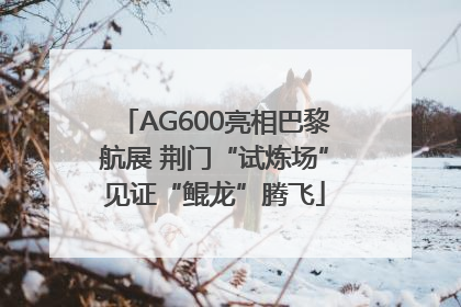 AG600亮相巴黎航展 荆门“试炼场”见证“鲲龙”腾飞
