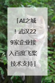 AI之城！武汉229家企业接入百度飞桨技术支持