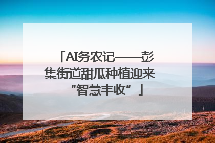 AI务农记——彭集街道甜瓜种植迎来“智慧丰收”