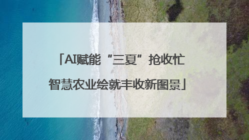 AI赋能“三夏”抢收忙 智慧农业绘就丰收新图景