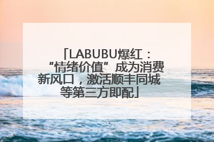 LABUBU爆红：“情绪价值”成为消费新风口，激活顺丰同城等第三方即配