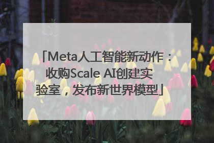 Meta人工智能新动作：收购Scale AI创建实验室，发布新世界模型