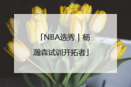 NBA选秀｜杨瀚森试训开拓者